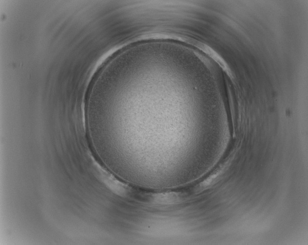 X0000075900988200609221932