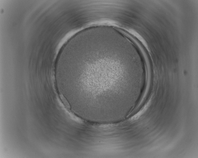 X0000075900989200609221932