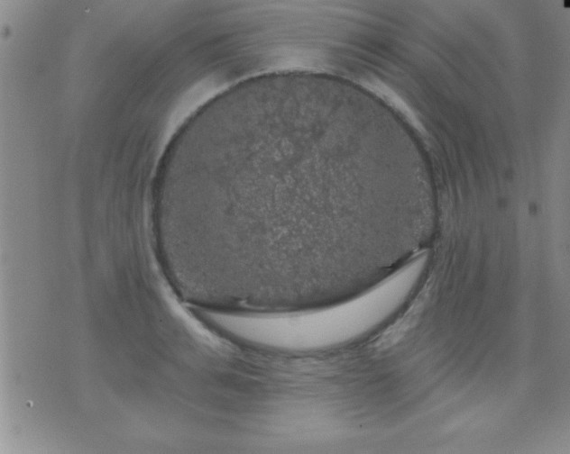 X0000075900991200609221932