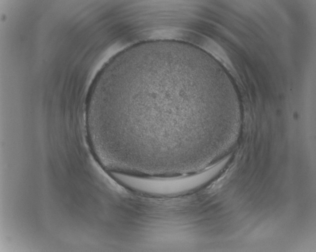 X0000075900992200609221932