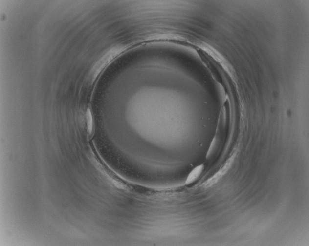 X0000075900993200609221932