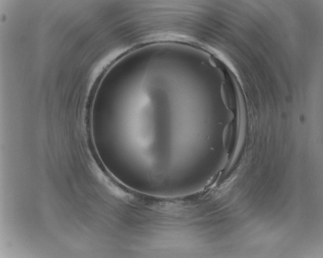 X0000075900995200609221932