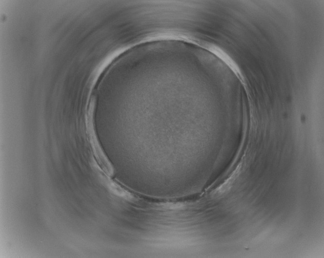 X0000075900996200609221932