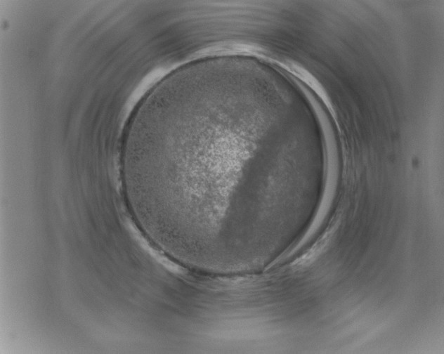 X0000075900997200609221932