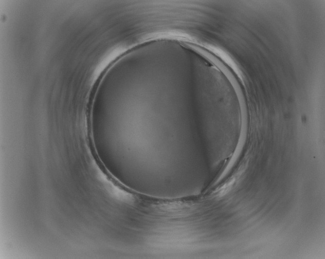 X0000075900999200609221932