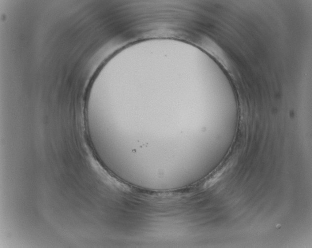 X0000075901000200609221932