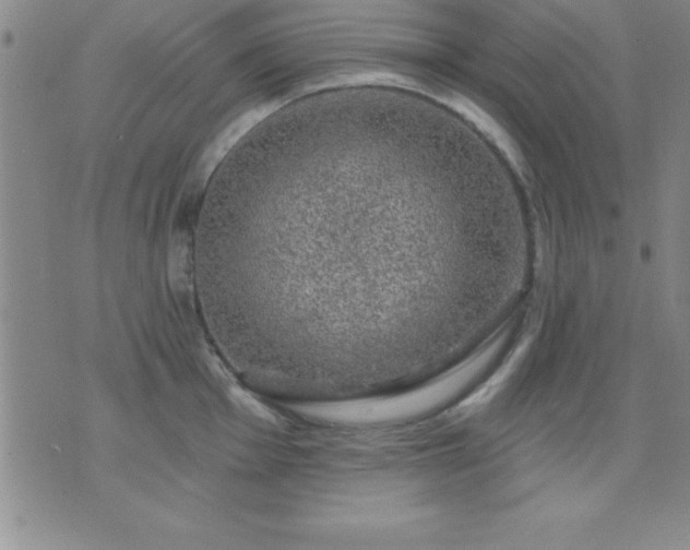 X0000075901001200609221932