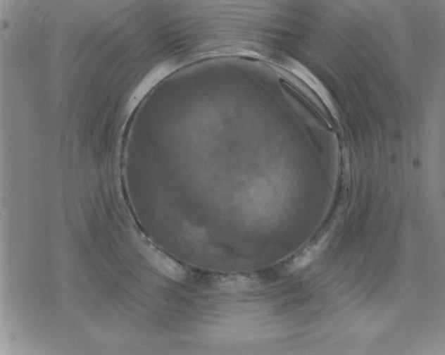 X0000075901002200609221932