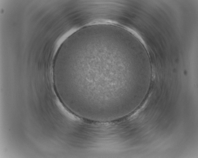 X0000075901003200609221932