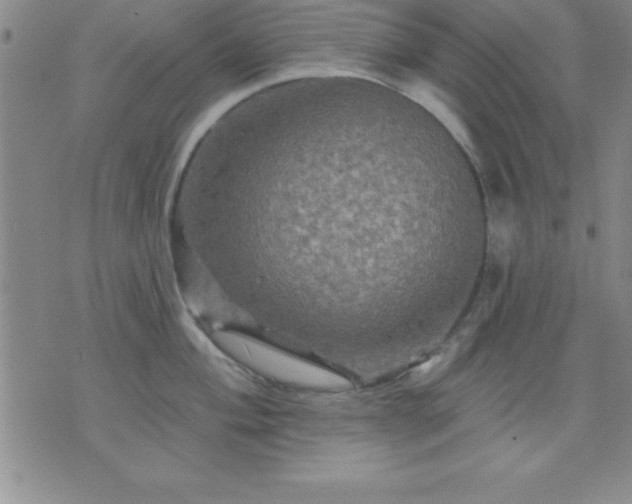 X0000075901004200609221932