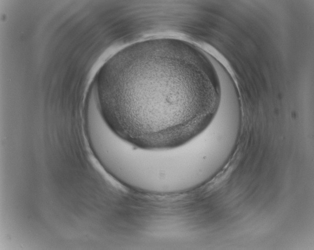 X0000075901005200609221932