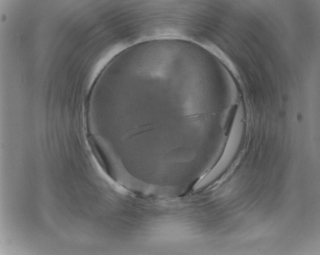 X0000075901006200609221932