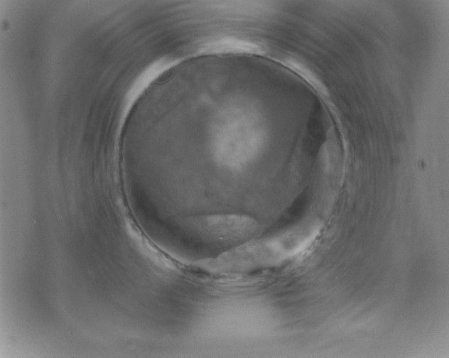 X0000075901008200609221932