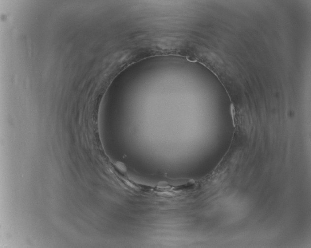 X0000075901009200609221931