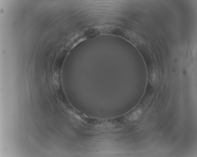 X0000075901010200609221931