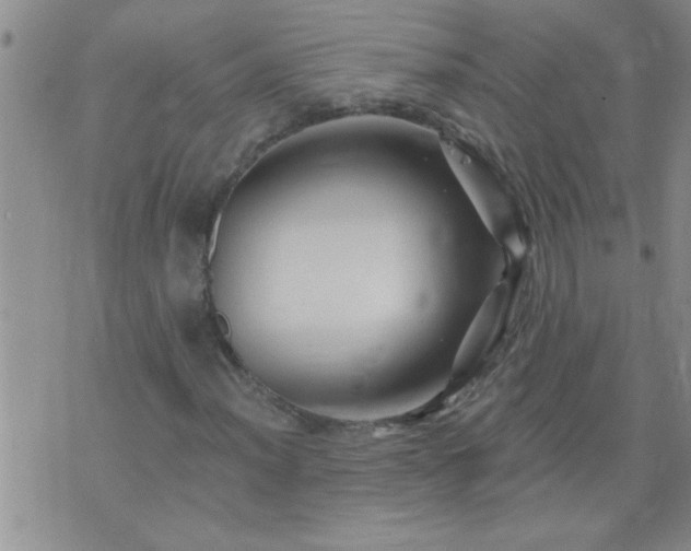 X0000075901012200609221931