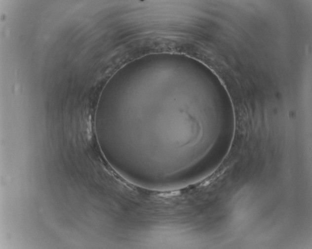 X0000075901013200609221931