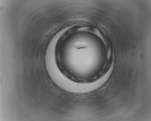 X0000075901014200609221931