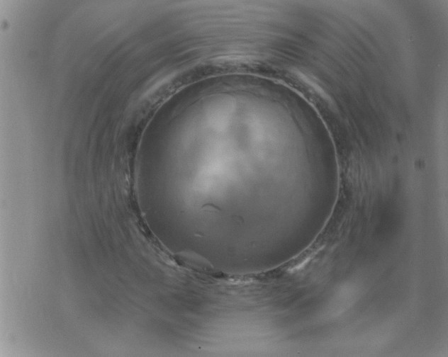 X0000075901015200609221931