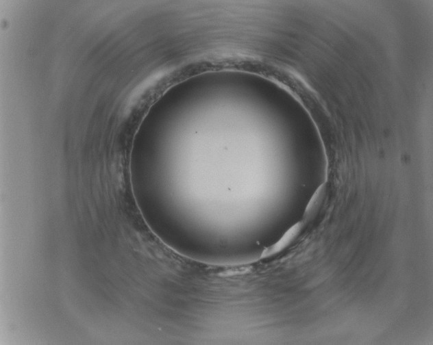 X0000075901016200609221931