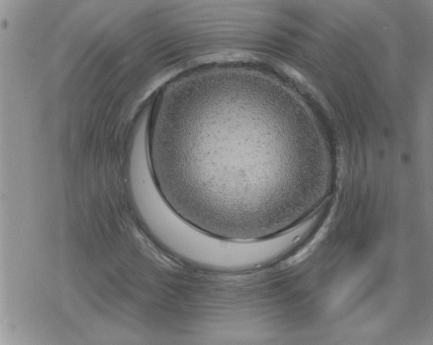 X0000075901017200609221931