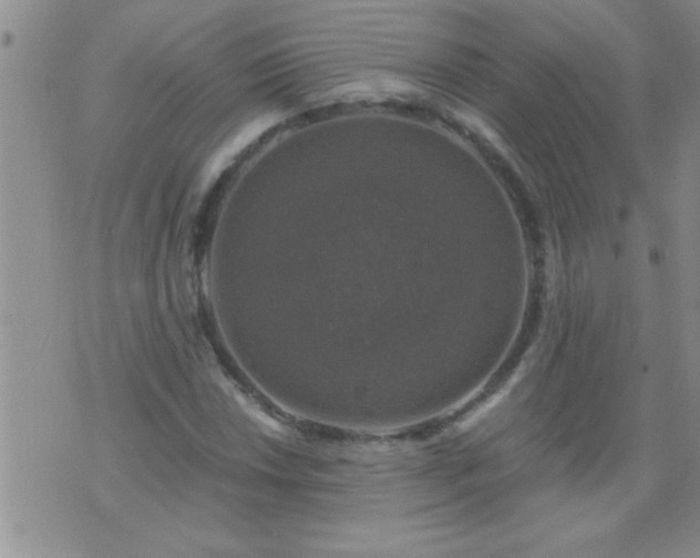 X0000075901018200609221931