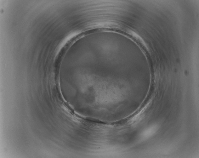 X0000075901019200609221931