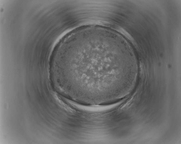 X0000075901020200609221931