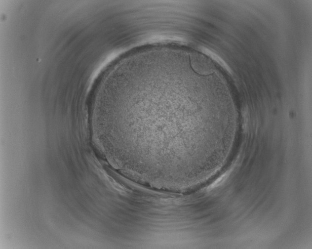 X0000075901021200609221931