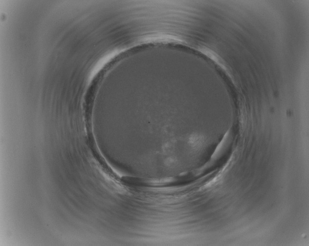 X0000075901022200609221931