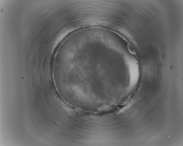 X0000075901023200609221931