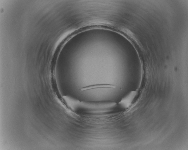 X0000075901024200609221931