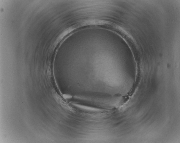 X0000075901025200609221931