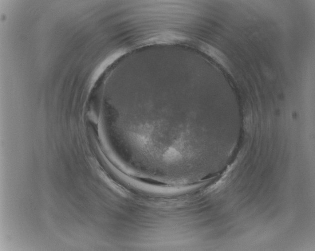 X0000075901026200609221931