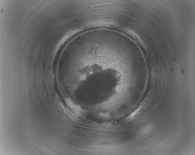 X0000075901027200609221931