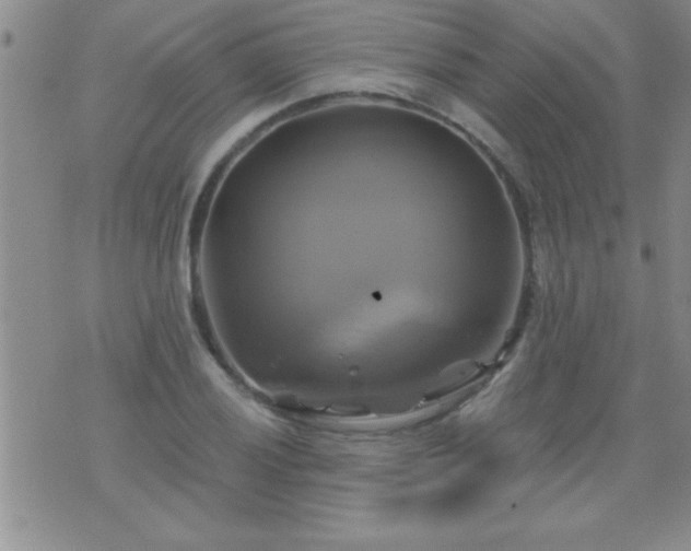 X0000075901028200609221931