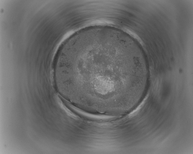 X0000075901029200609221931