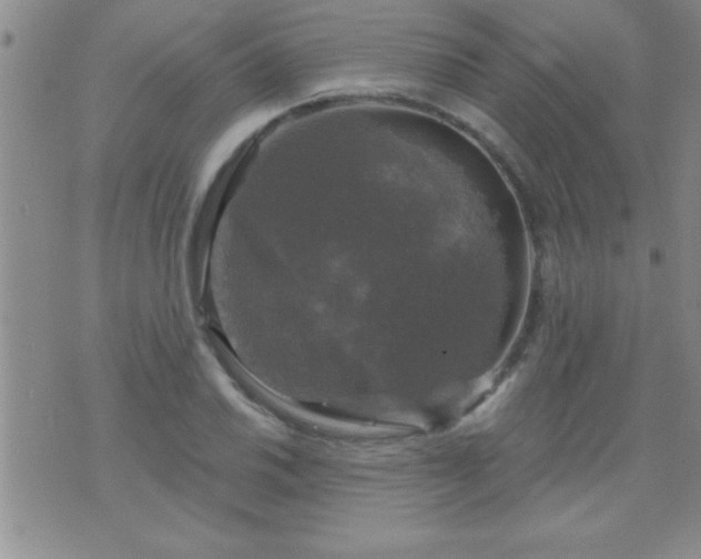 X0000075901030200609221931