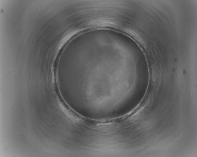 X0000075901031200609221931