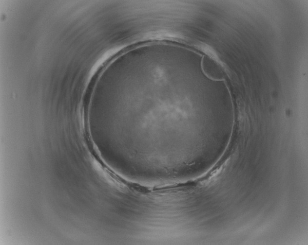 X0000075901032200609221931