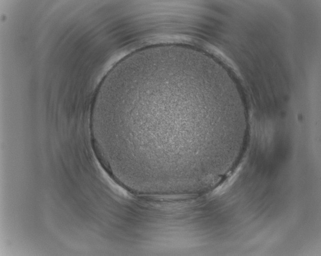 X0000075901033200609221931