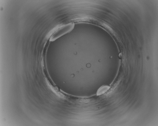 X0000075901034200609221931