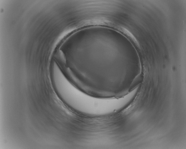 X0000075901035200609221931