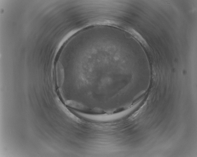 X0000075901036200609221932