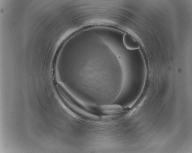 X0000075901037200609221932