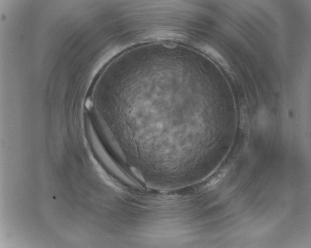 X0000075901039200609221932