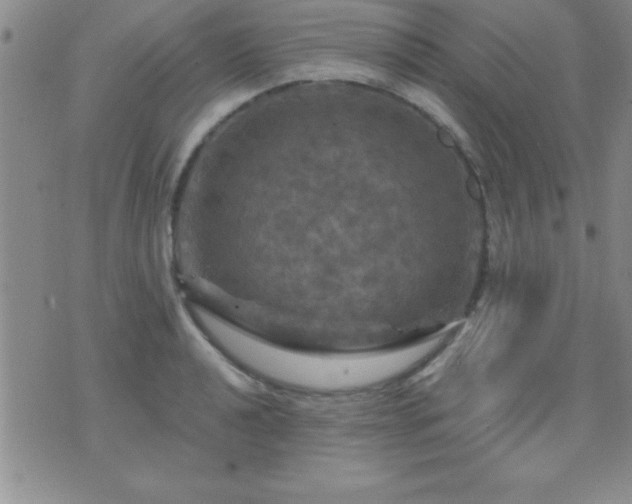 X0000075901040200609221932