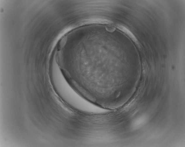 X0000075901043200609221932