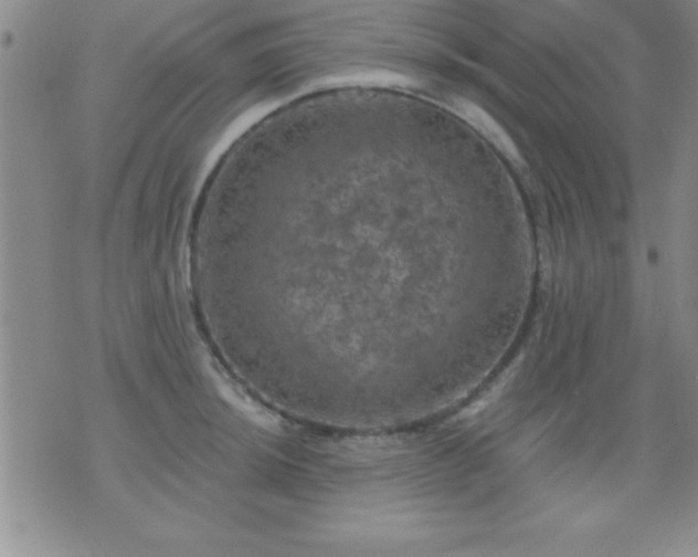 X0000075901044200609221932