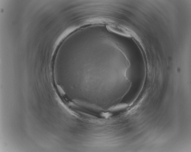 X0000075901045200609221932